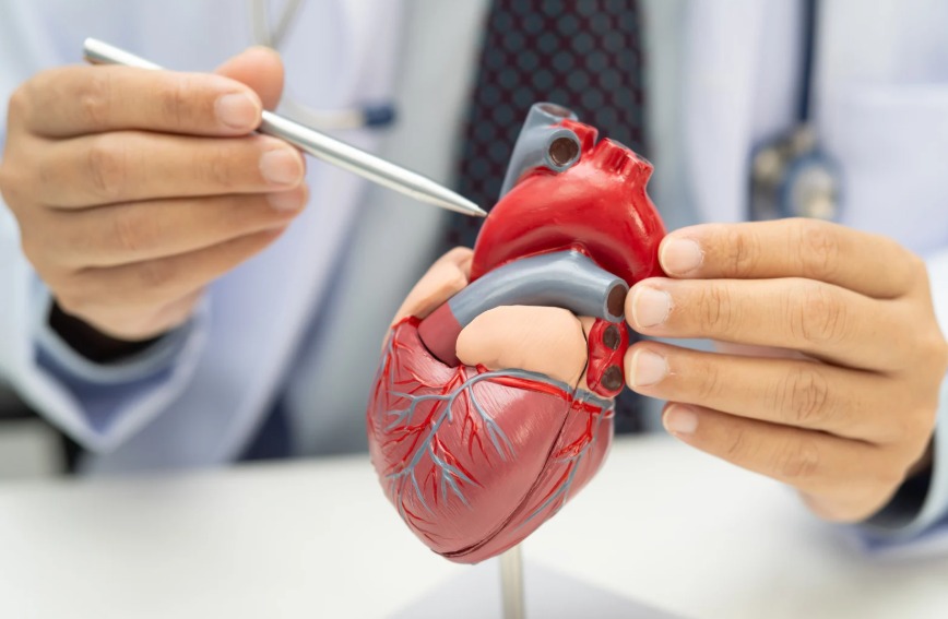 Una estimación poblacional indica que alrededor del 1% de los adultos sufren insuficiencia cardíaca en América Latina, incluida Colombia.